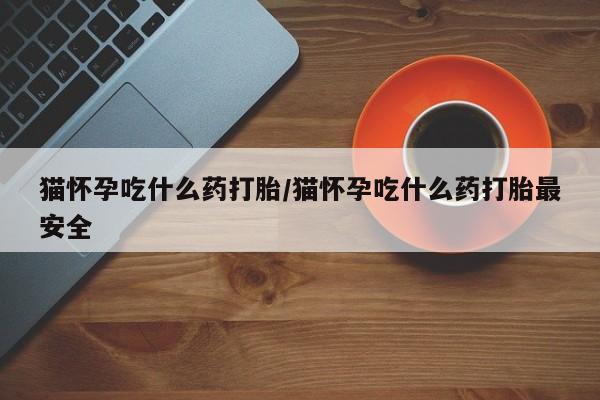 米非米索官方旗舰店猫怀孕吃什么药打胎/猫怀孕吃什么药打胎最安全