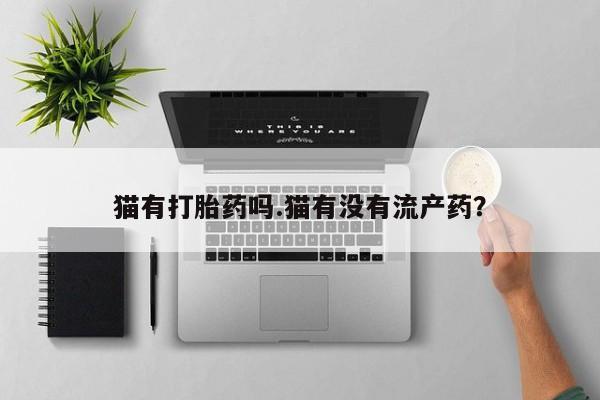 米非米索官方旗舰店猫有打胎药吗.猫有没有流产药？