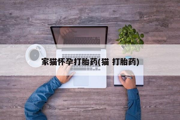 米非米索官方旗舰店家猫怀孕打胎药(猫 打胎药)